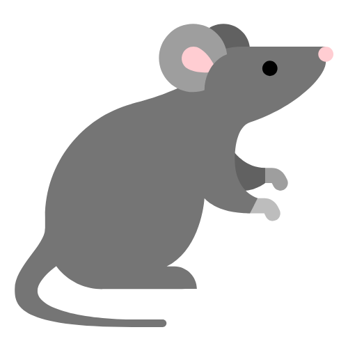 rat